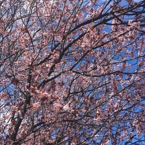 Meet your Posher, Faith